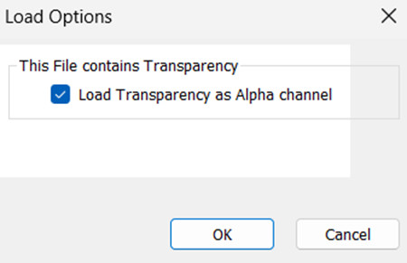Photoshop Intel DDS plugin import options