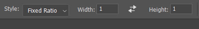 Photoshop selection tool with fixed ratio setting